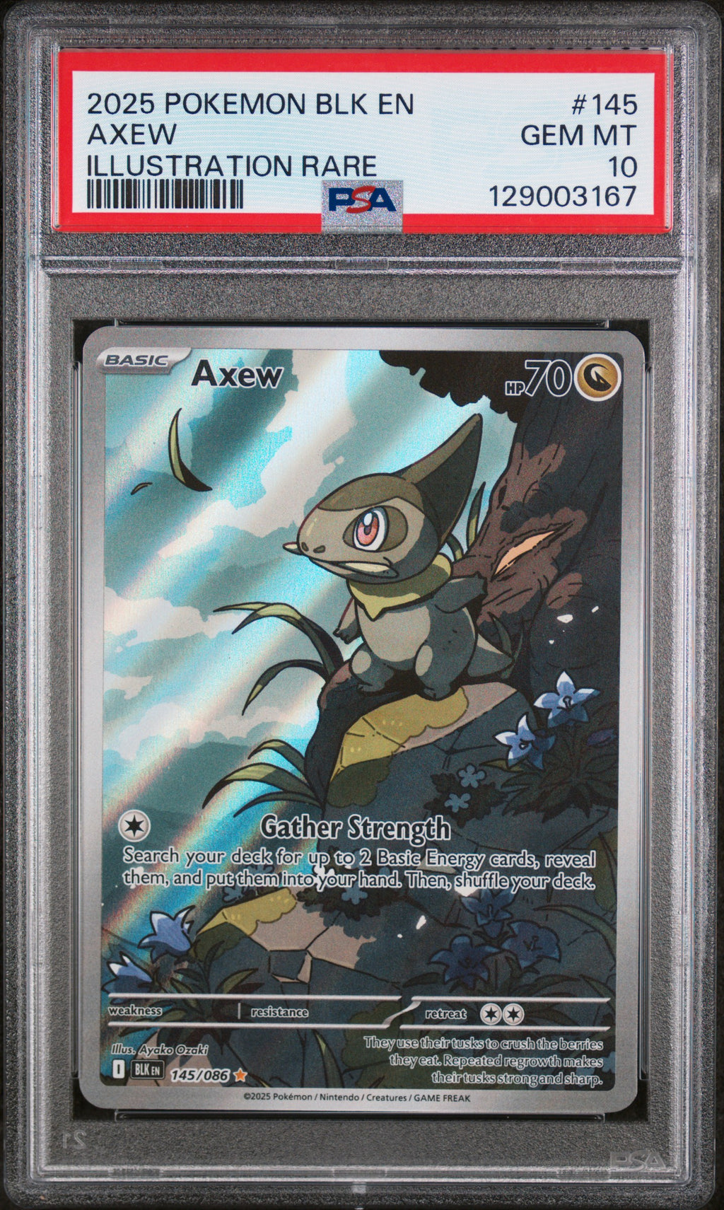 2025 POKEMON BLK EN-BLACK BOLT #145 AXEW ILLUSTRATION RARE PSA 10