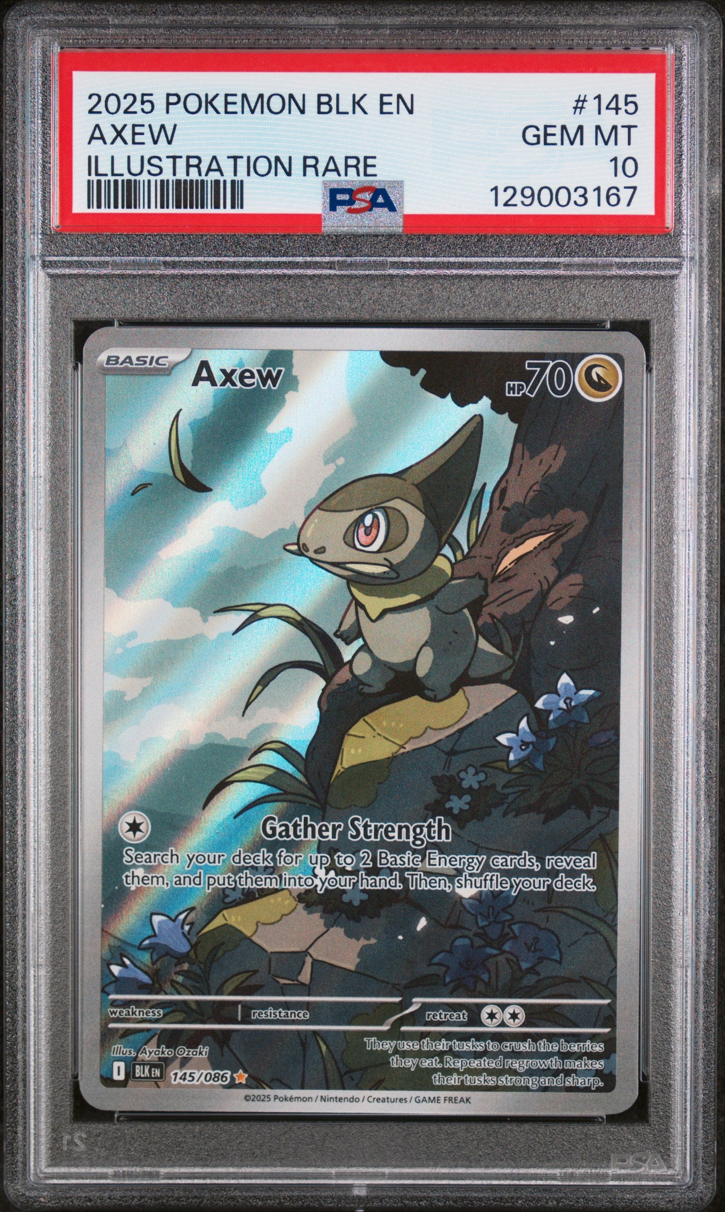 2025 POKEMON BLK EN-BLACK BOLT #145 AXEW ILLUSTRATION RARE PSA 10